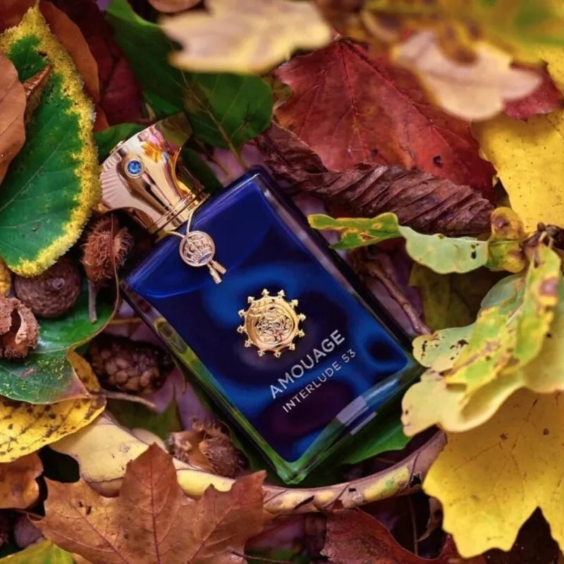 100ml Mens Long Lasting Eau De Parfum Woody Fresh Warm Fragrance with Oriental Notes Elegant Niche Perfume Luxury Choice